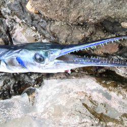 違うねんなぁ…